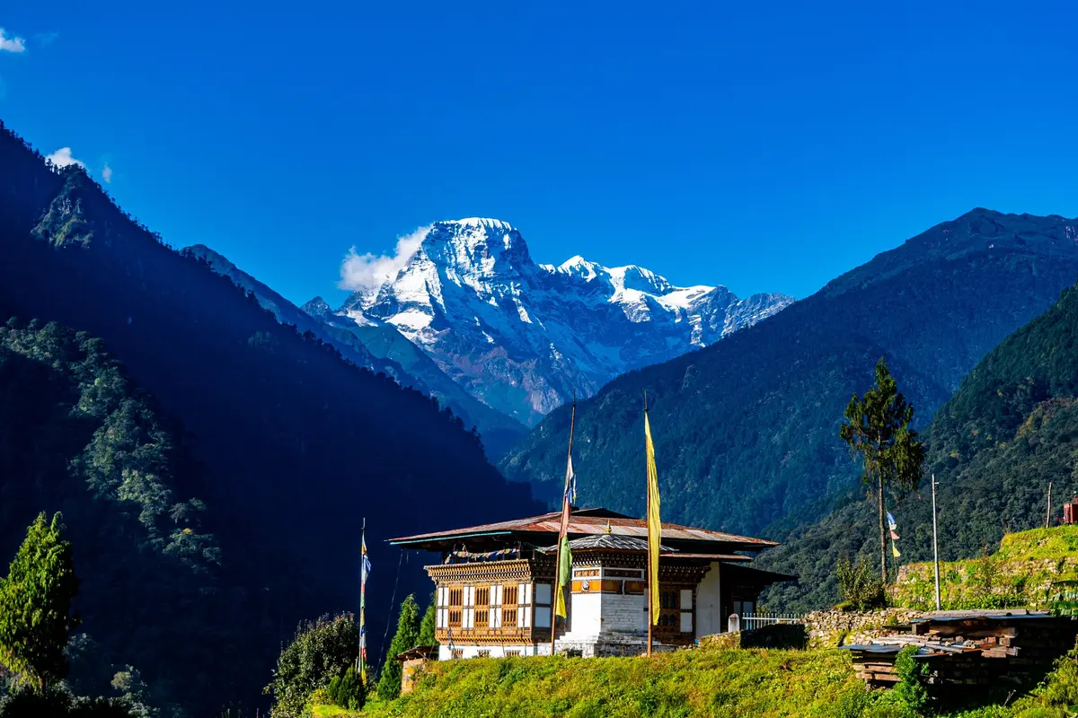 Himalayan peaks above Bhutan's unbroken forest — the kingdom's constitution requires at least 60% of the land to stay forested forever