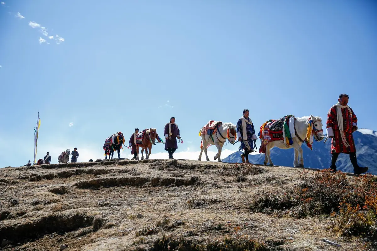 Mountain trek through Bhutan's forested high-altitude landscape — the pristine wilderness preserved by the Sustainable Development Fee